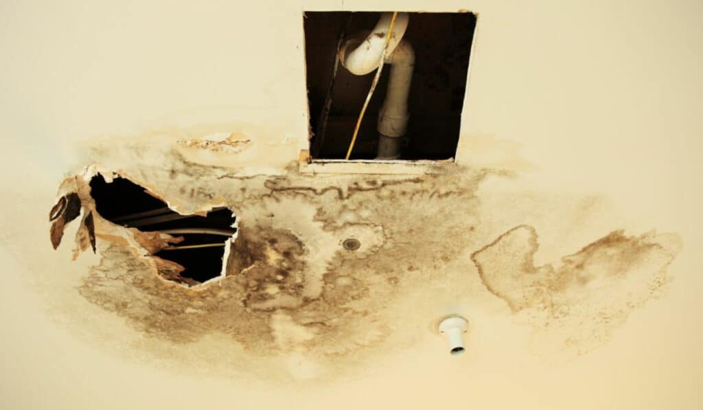 Leak Detection - Water Damage