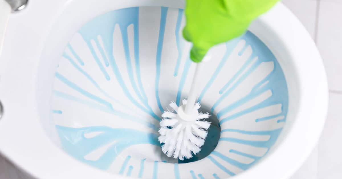 Person cleaning their toilet