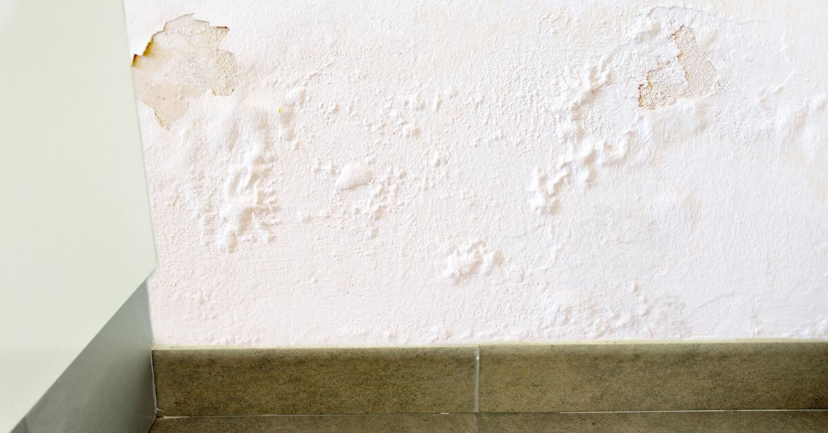 Wall bubbling from damp spot due to water pipe leak