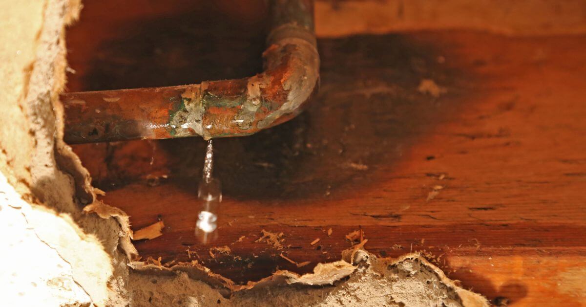 Pipe dripping through a hole in the wall