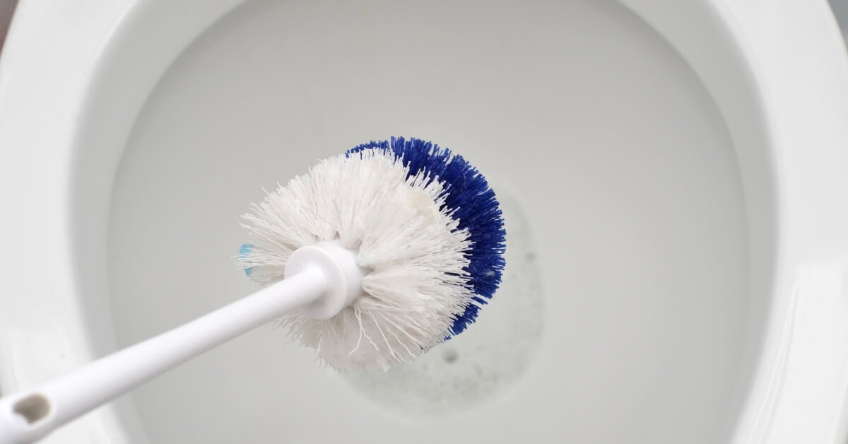 Person using a toilet brush